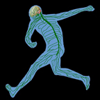 athlete's nerves